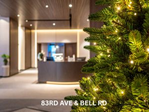 Custom Holiday Lighting Designers in Austin, Texas