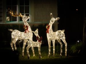 Top Holiday Lighting Company Austin Texas
