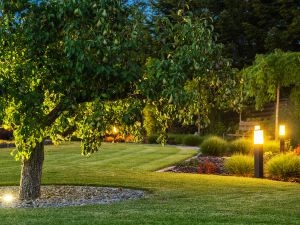 What Are the Best Smart Outdoor Lighting Systems in Austin, Texas?