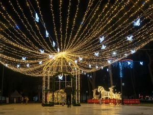 Who Is the Best Outdoor Lighting Contractor in Austin, TX?